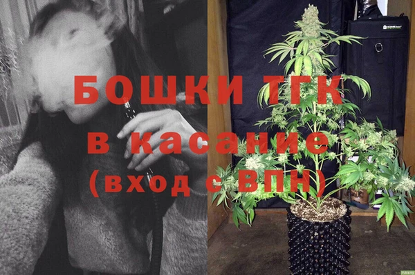 PSILOCYBIN Балахна