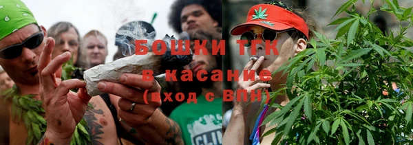 PSILOCYBIN Балахна