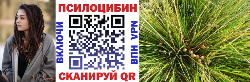 Псилоцибиновые грибы мухоморы  OMG ONION  Певек 